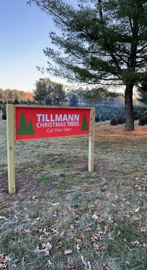 Tillmann Christmas Trees is at 2535 Bay Settlement Road in the town of Scott.